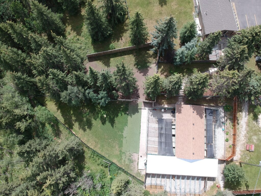 Springfield Kennels In Cochrane, Alberta Drone View